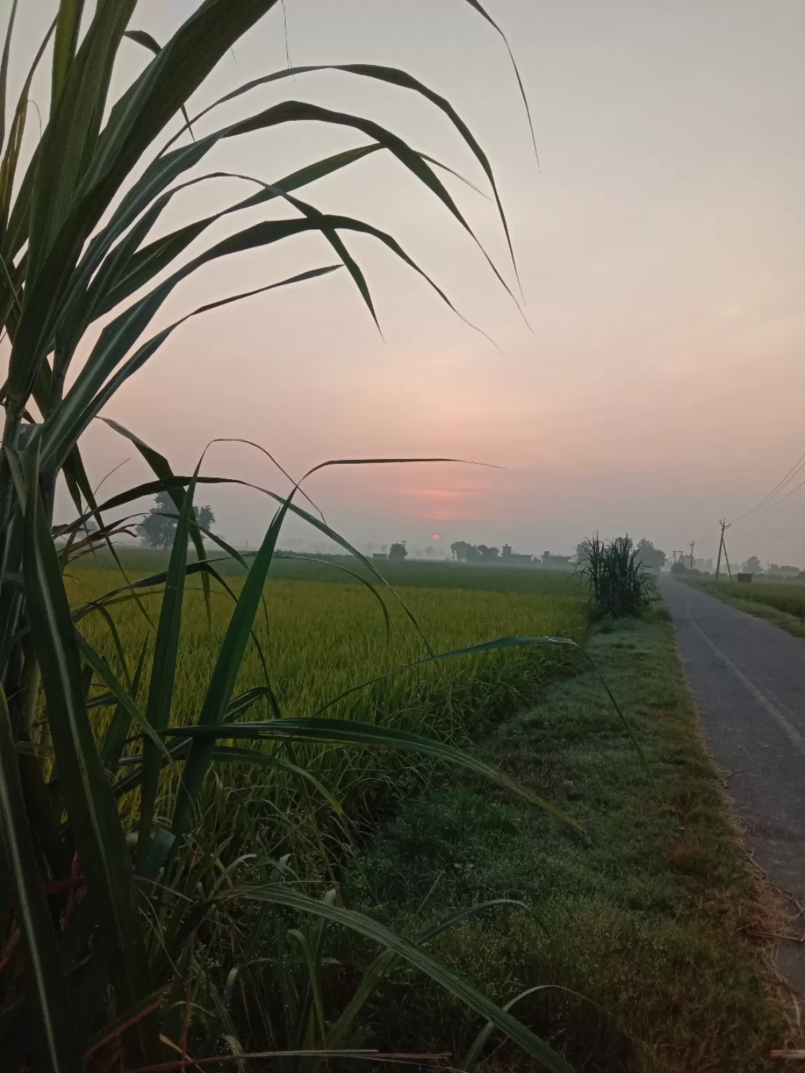 Photo of Silpani Kalan By JiteNder Virk