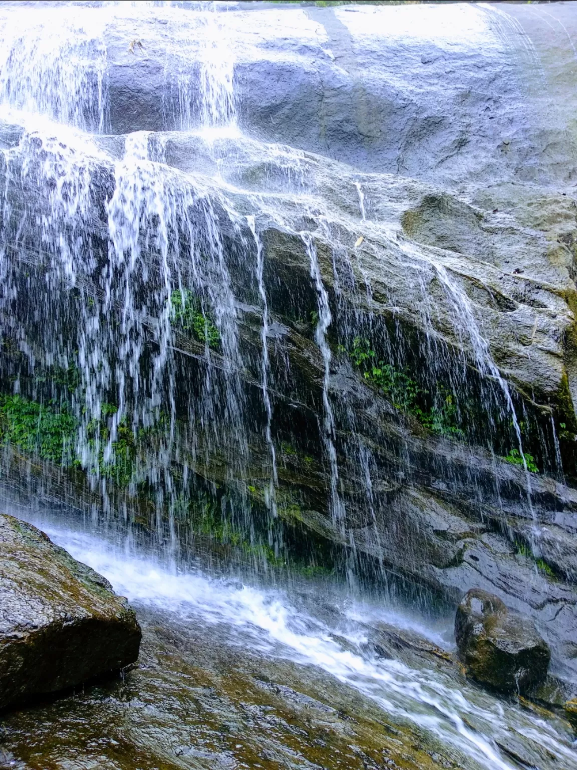 Photo of Thusharagiri Waterfalls By Jincy Jacob