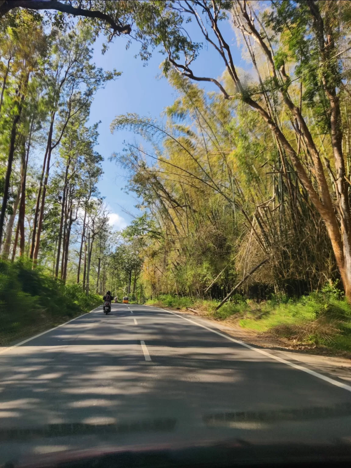 Photo of Bandipur National Park By Jincy Jacob