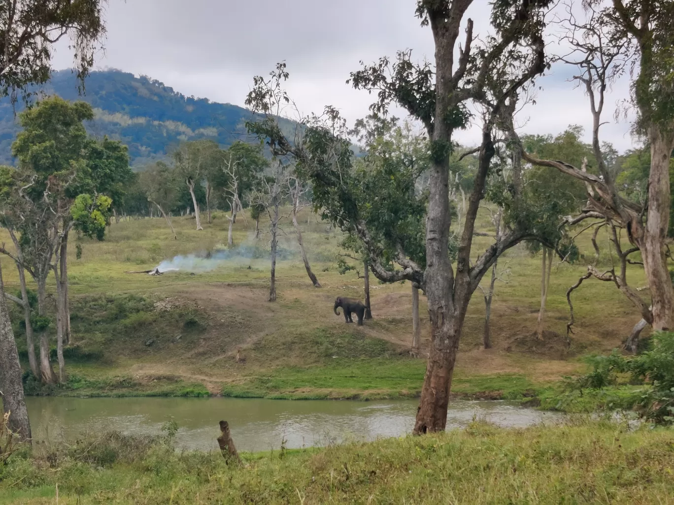 Photo of Bandipur National Park By Jincy Jacob