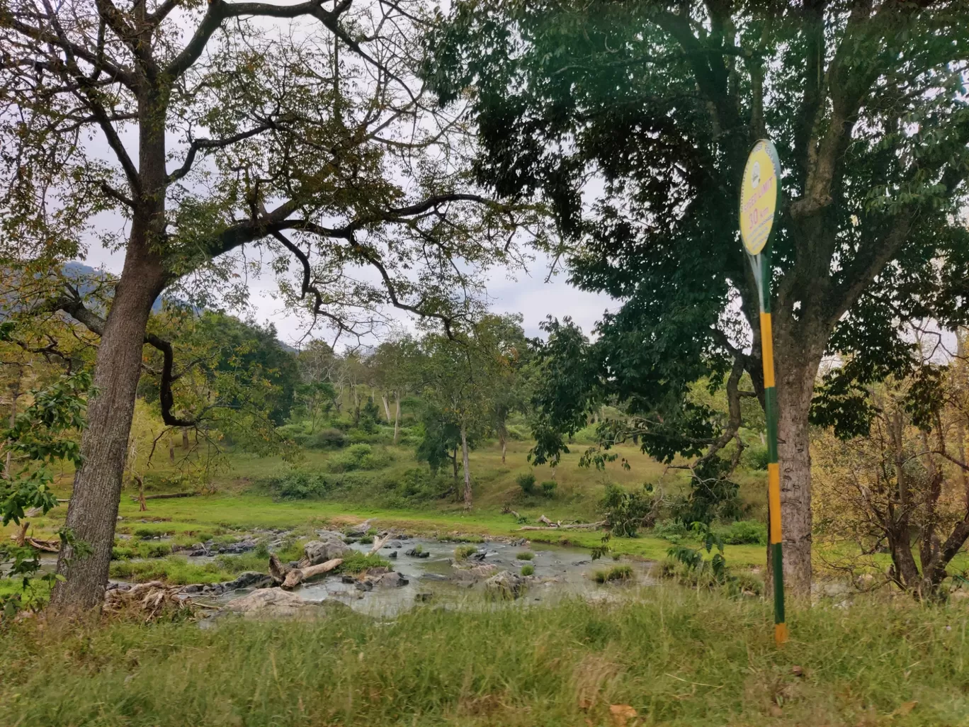 Photo of Bandipur National Park By Jincy Jacob