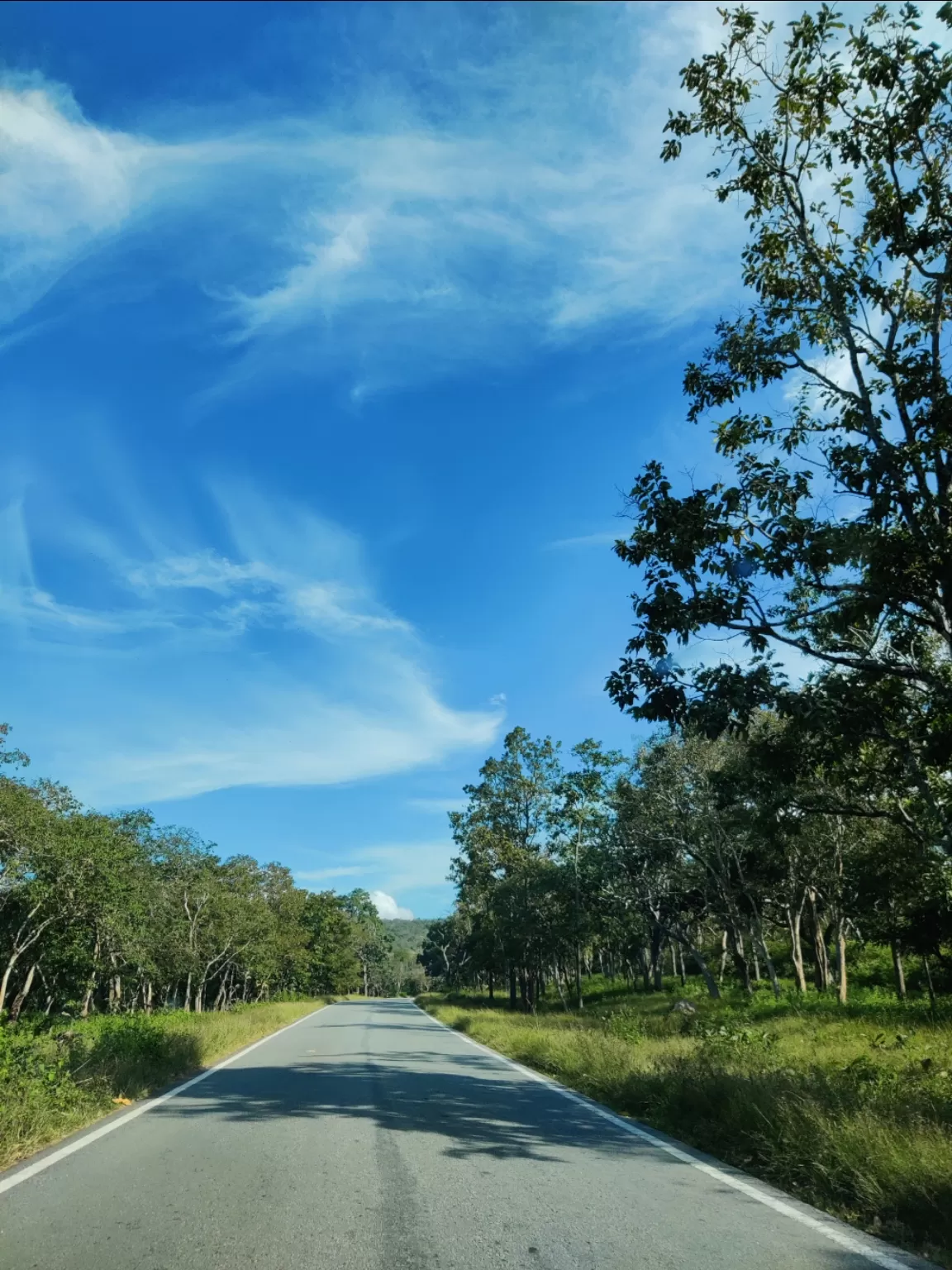 Photo of Bandipur National Park By Jincy Jacob