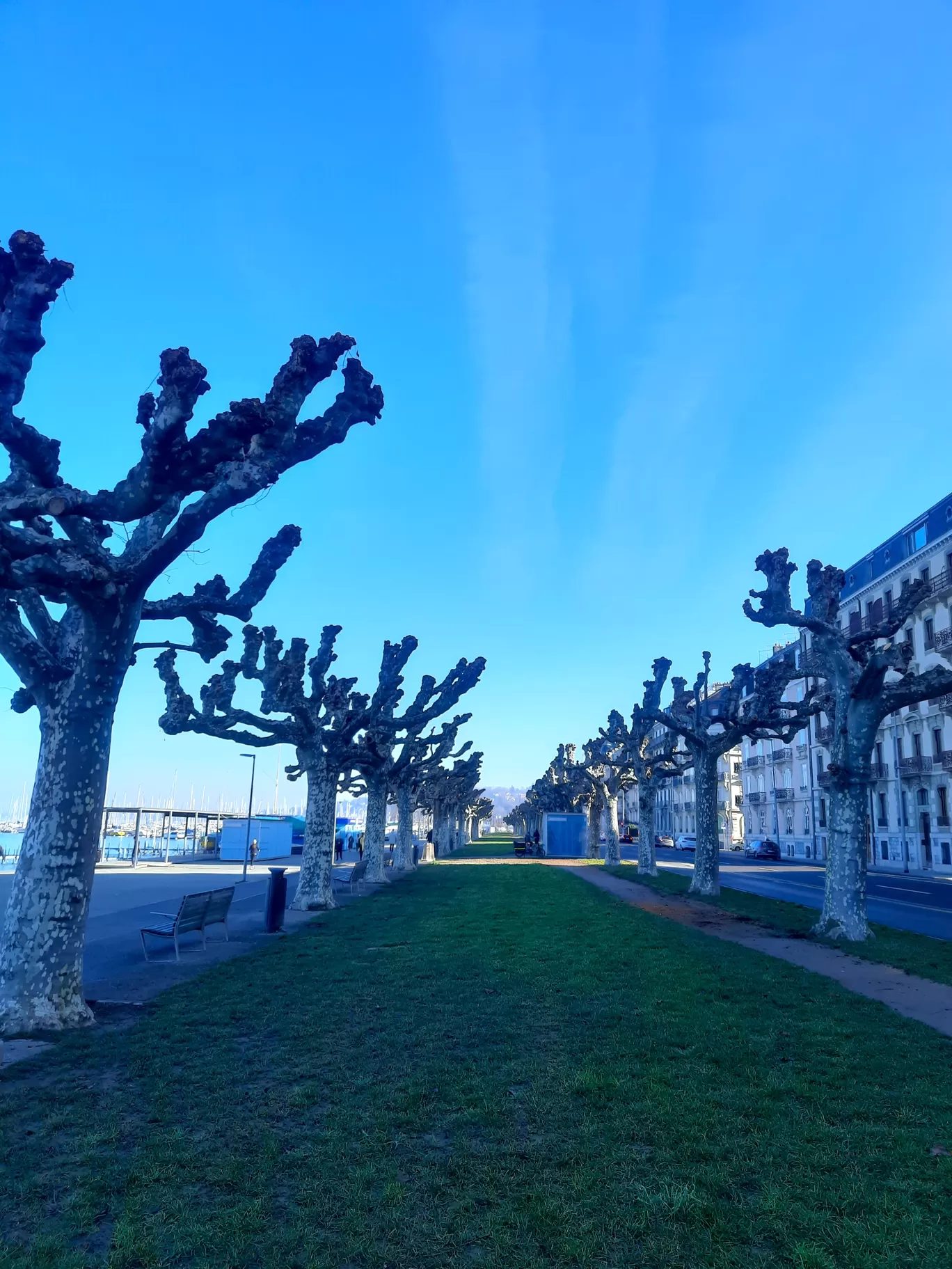 Photo of Geneva By Suchibrata Borah