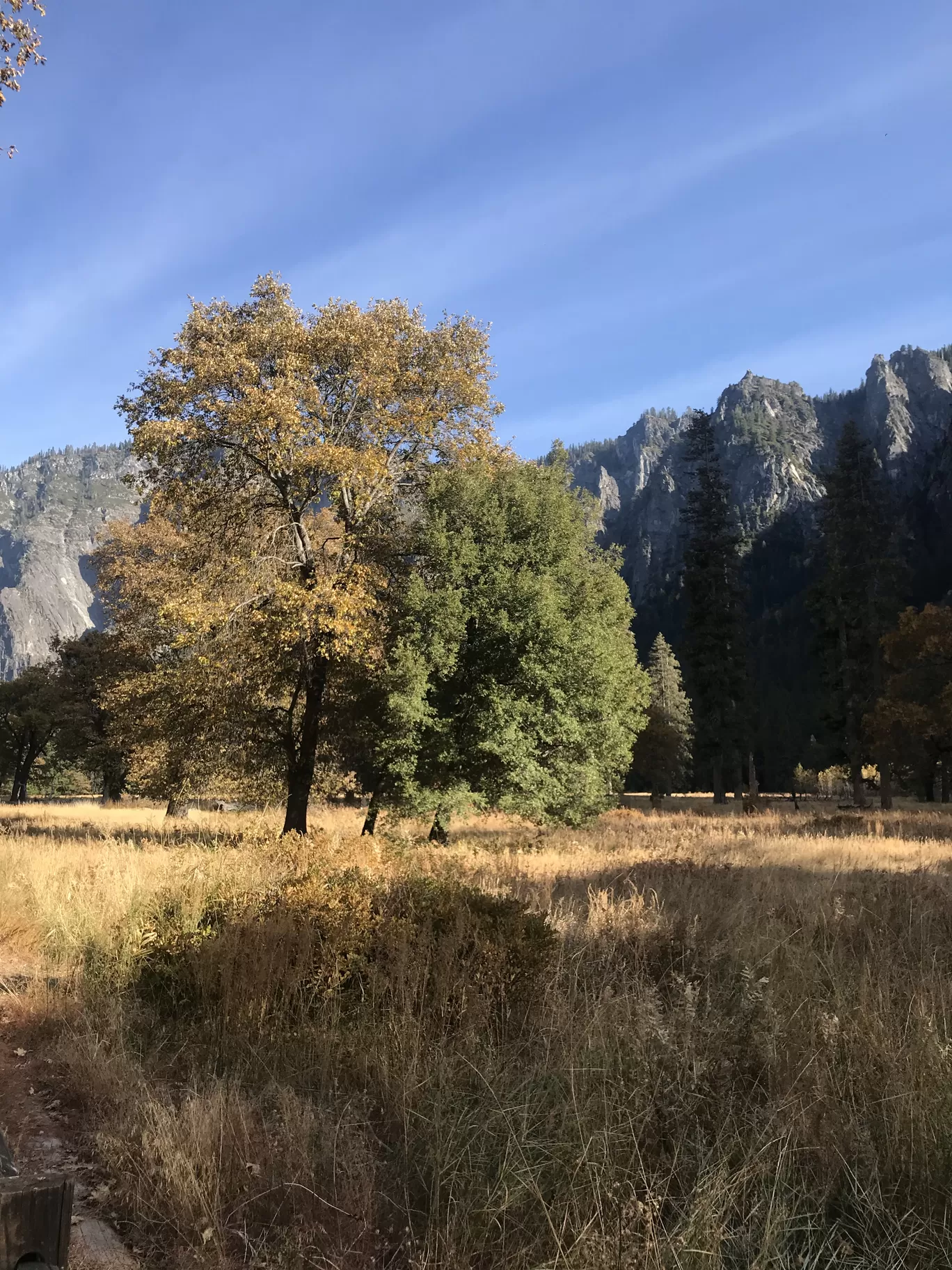 Photo of Yosemite National Park By Daniel Allen