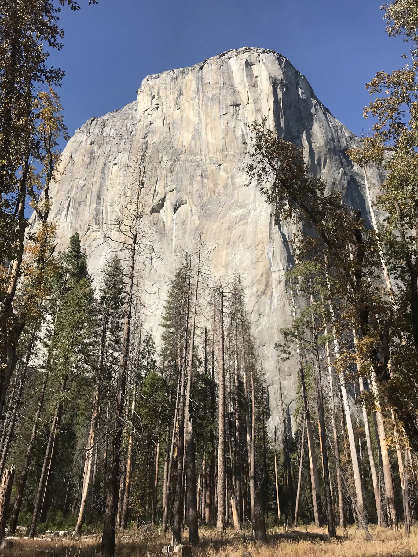 Photo of Yosemite National Park By Daniel Allen