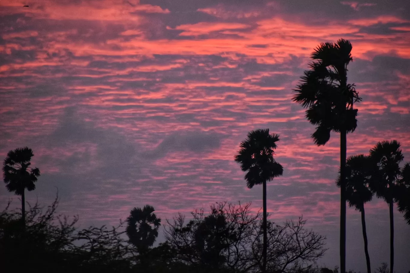 Photo of Rameshwaram By Nixon Richards