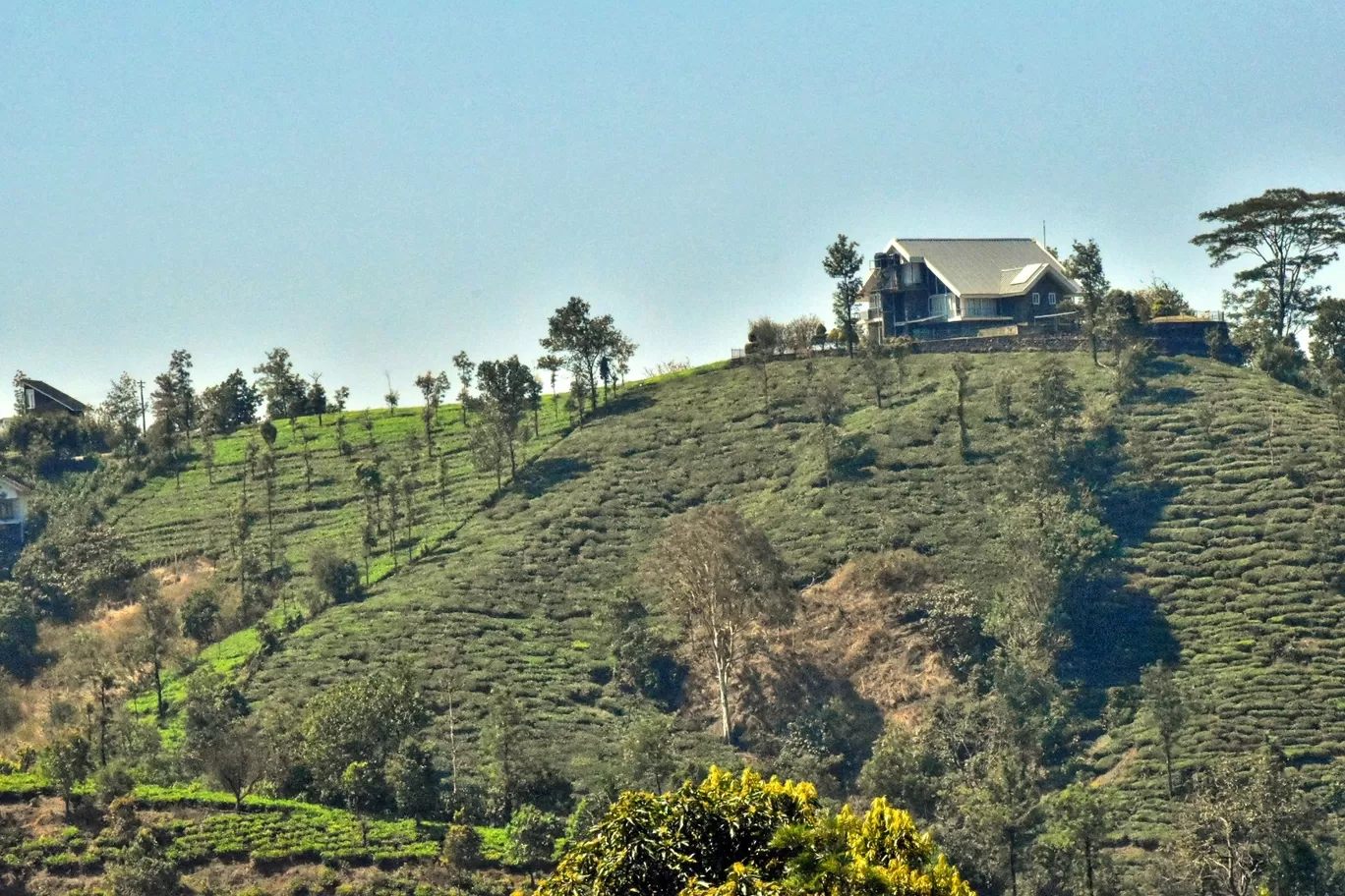 Photo of Vagamon By Nixon Richards