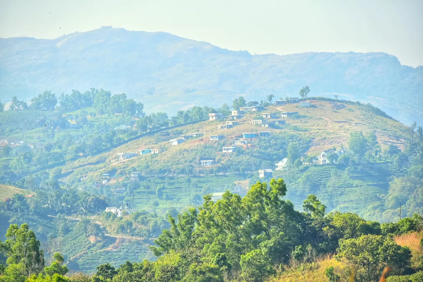 Photo of Vagamon By Nixon Richards
