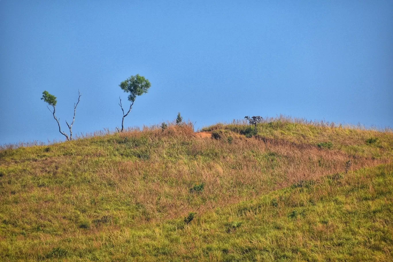 Photo of Vagamon By Nixon Richards