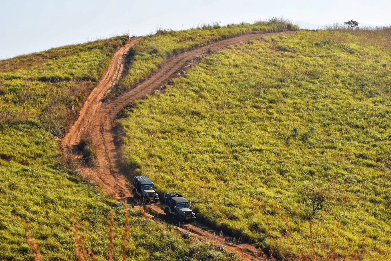 Photo of Vagamon By Nixon Richards