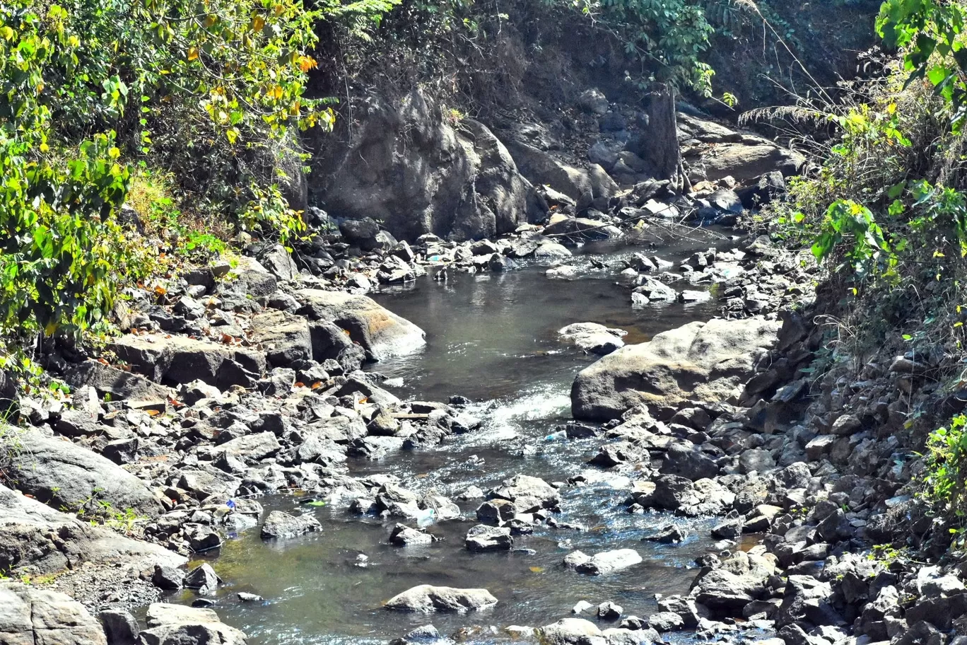 Photo of Vagamon By Nixon Richards