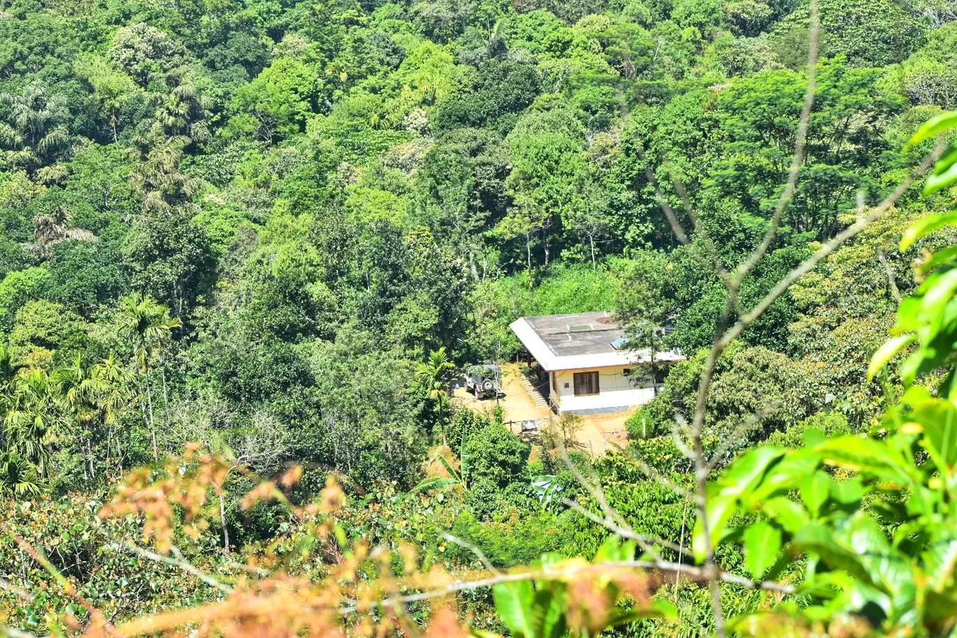 Photo of Vagamon By Nixon Richards