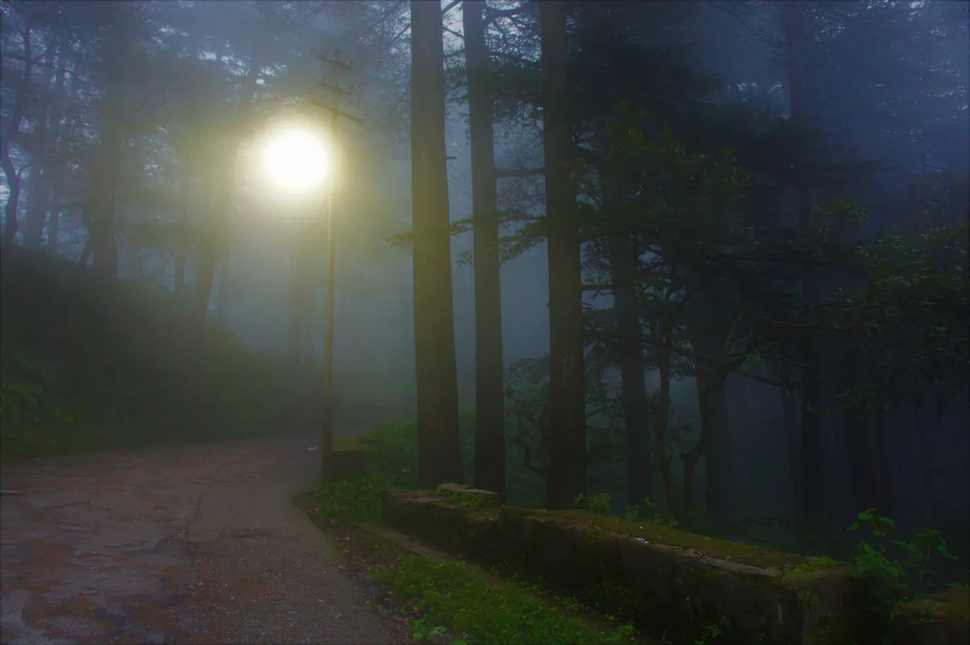 Photo of Chail By Deepak Adhikari