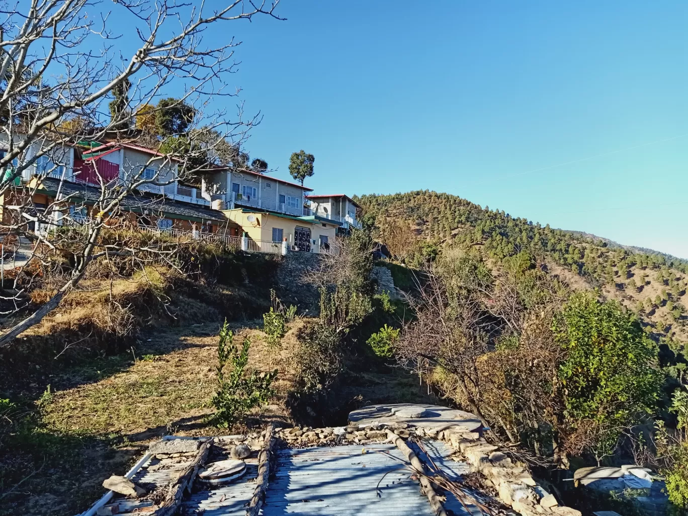 Photo of Kanatal By Prateek Sharma