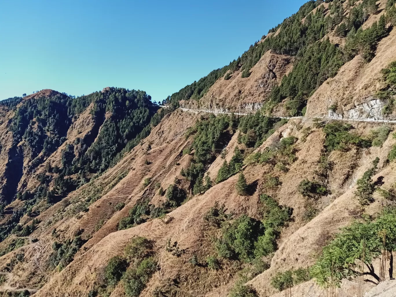 Photo of Kanatal By Prateek Sharma