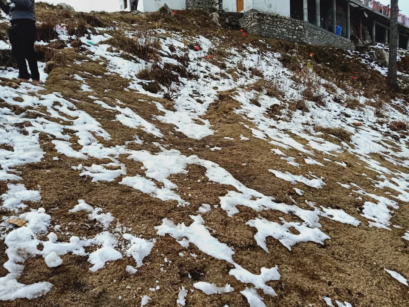 Photo of Kanatal By Prateek Sharma