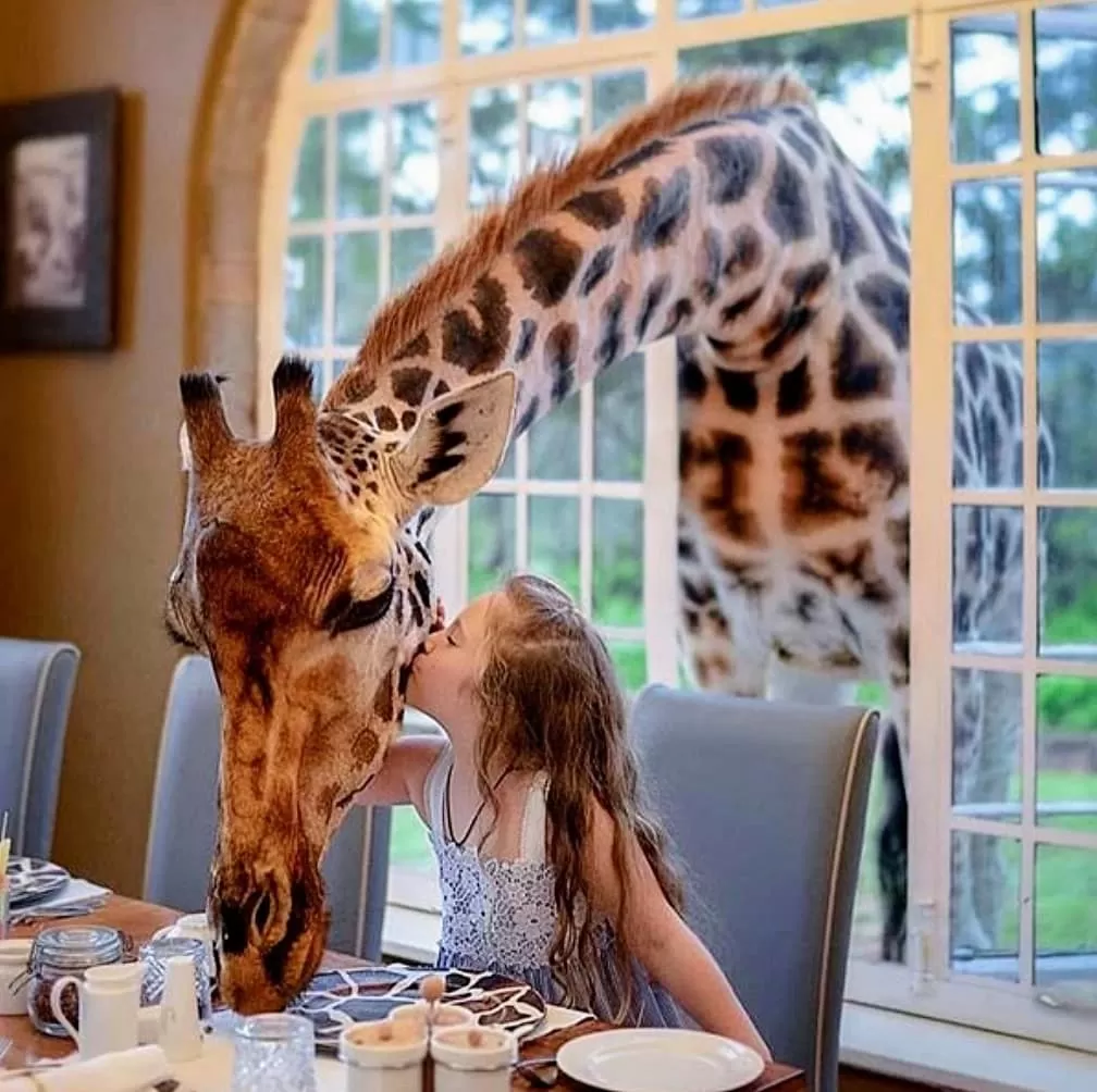 Photo of Giraffe Manor By MILLENNIALS TOUR AND TRAVEL