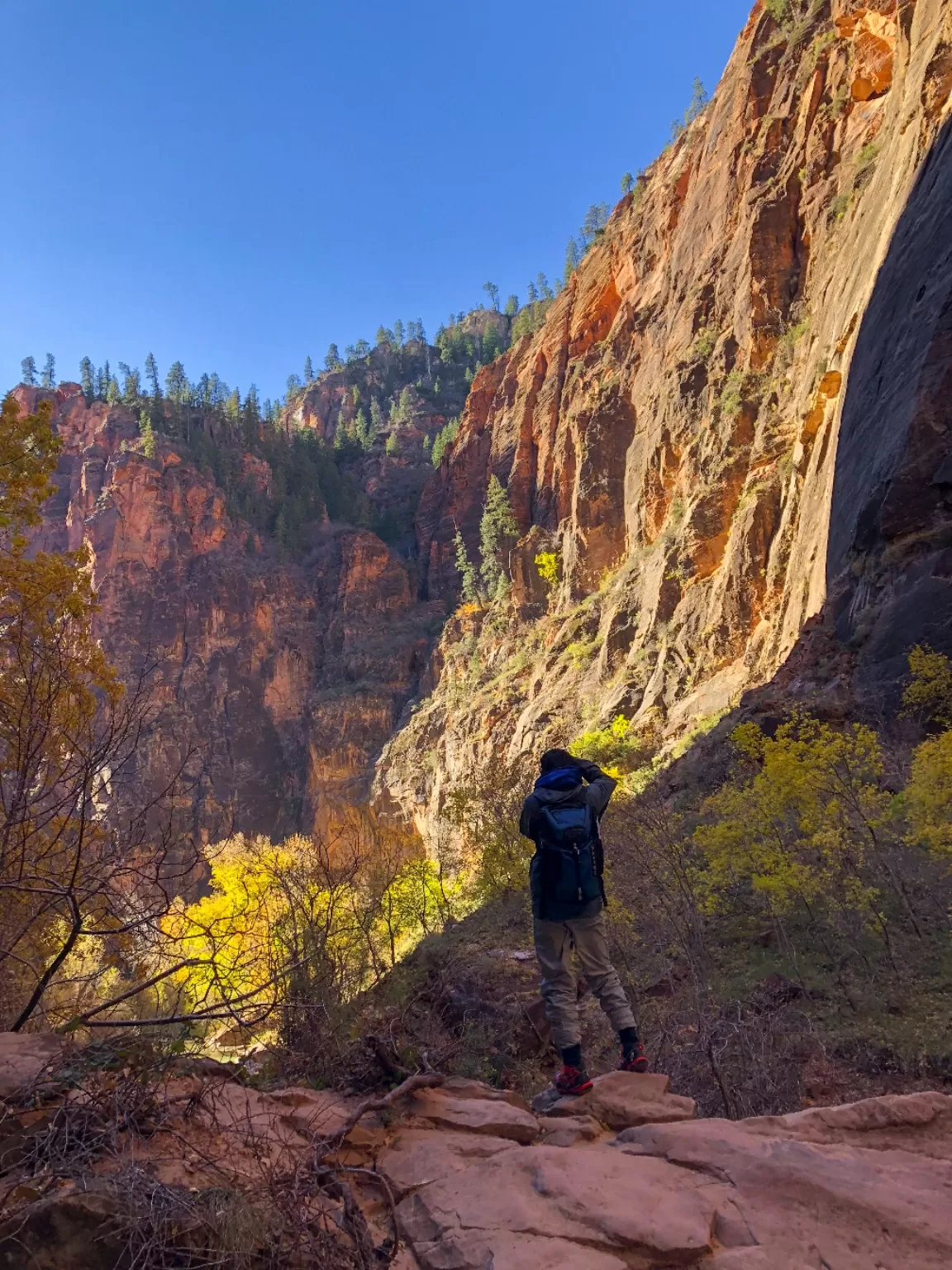 Photo of Zion National Park By CJ Nalanda