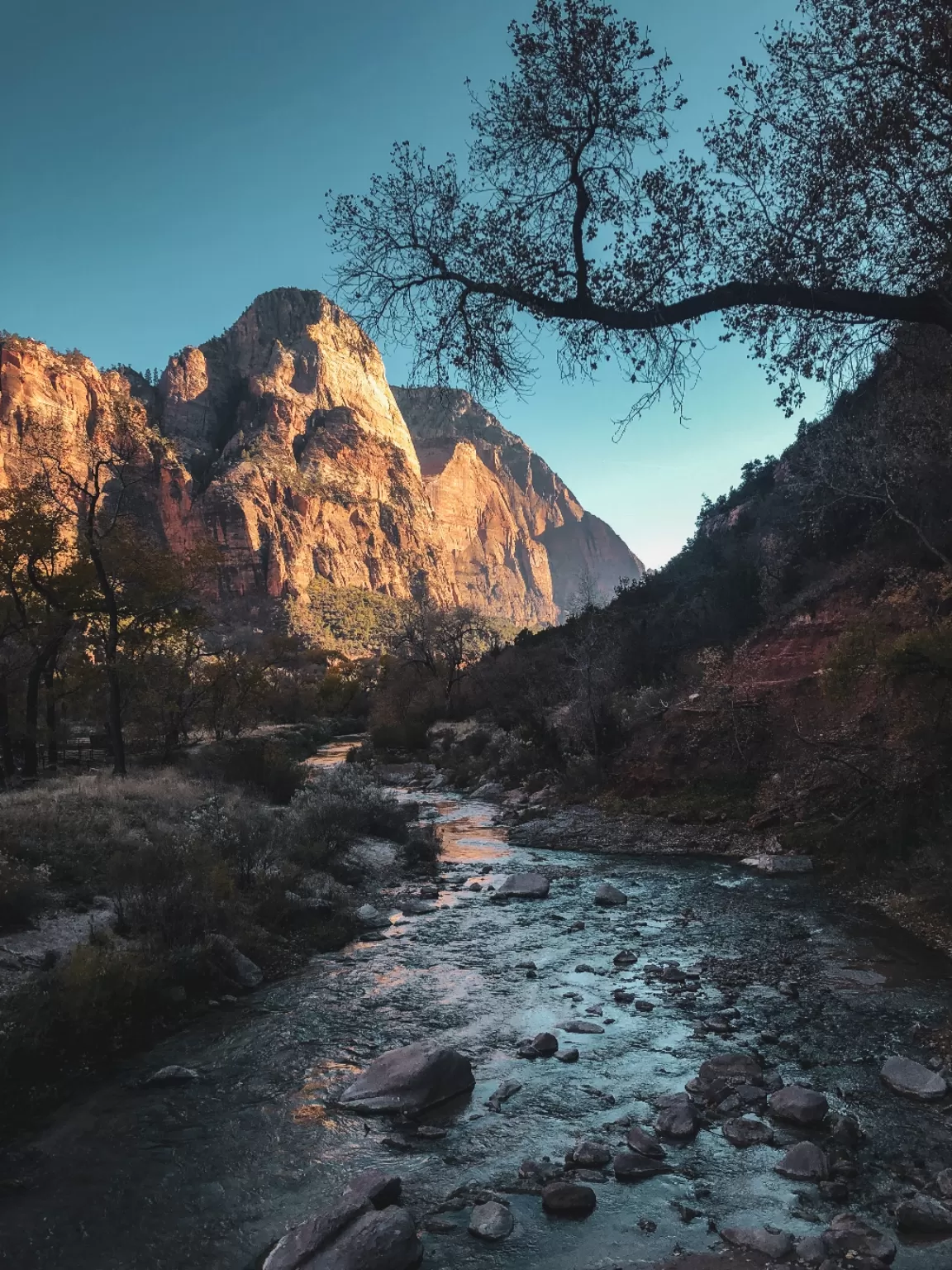 Photo of Zion National Park By CJ Nalanda