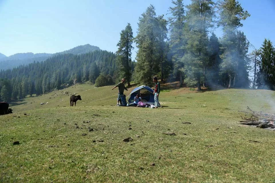 Photo of Deohari By Kish Chauhan