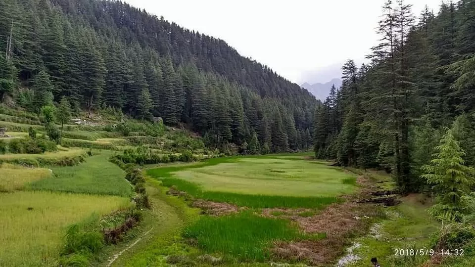 Photo of Deohari By Kish Chauhan
