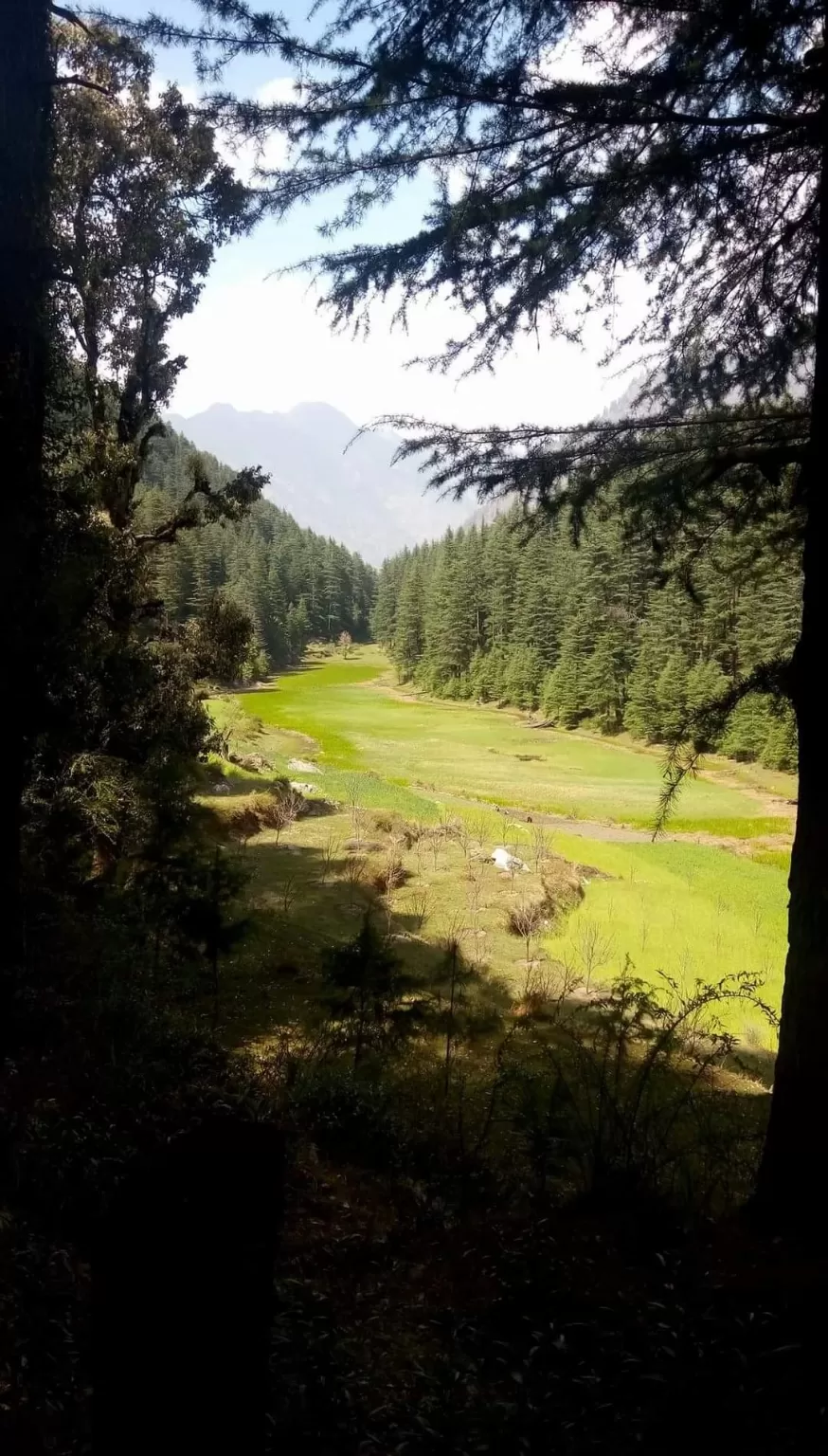 Photo of Deohari By Kish Chauhan