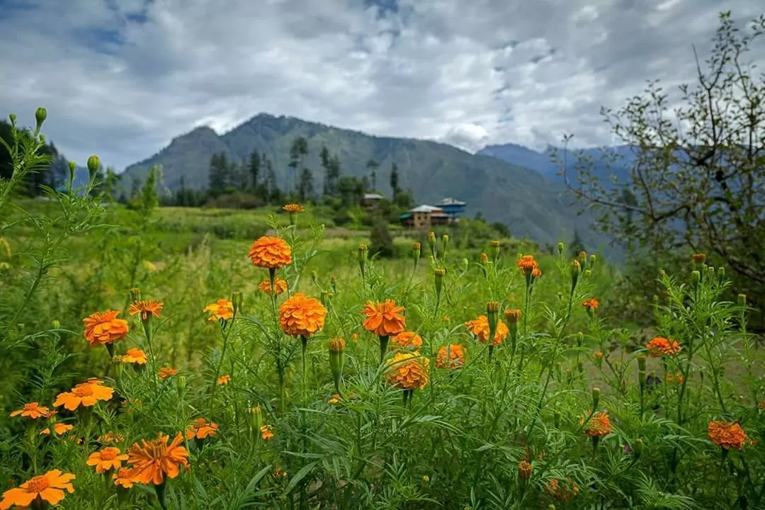 Photo of Deohari By Kish Chauhan