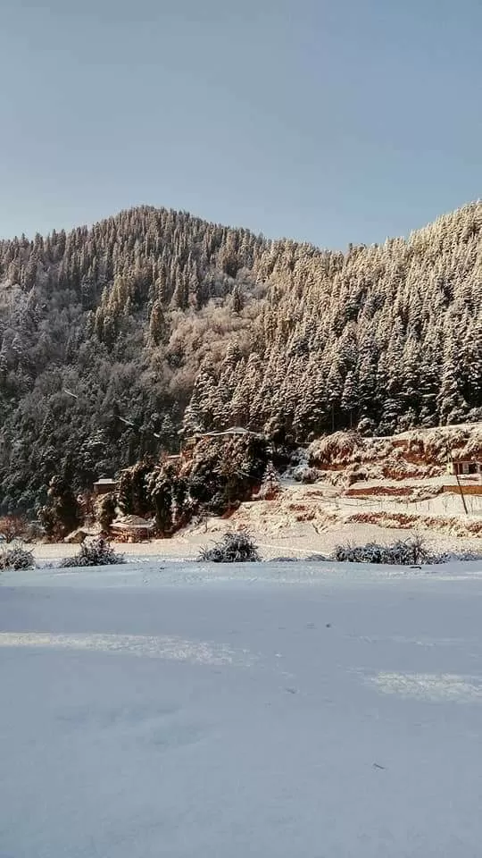 Photo of Deohari By Kish Chauhan