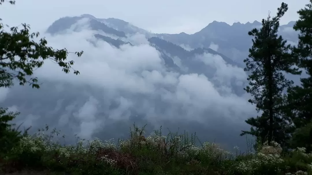 Photo of Deohari By Kish Chauhan