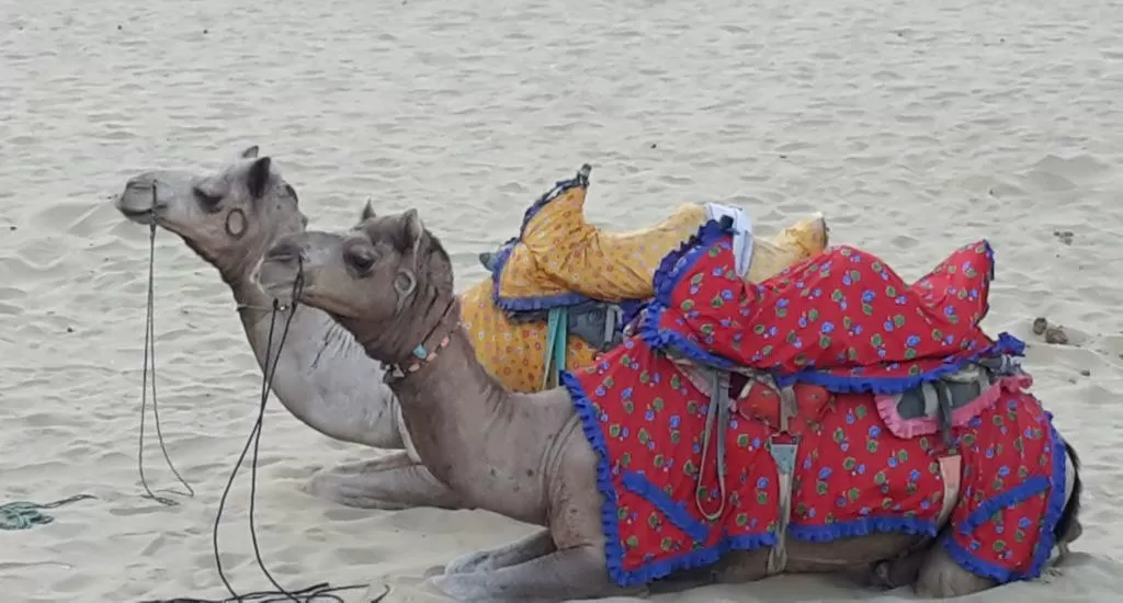 Photo of Jaisalmer By Kalpana Srivastav