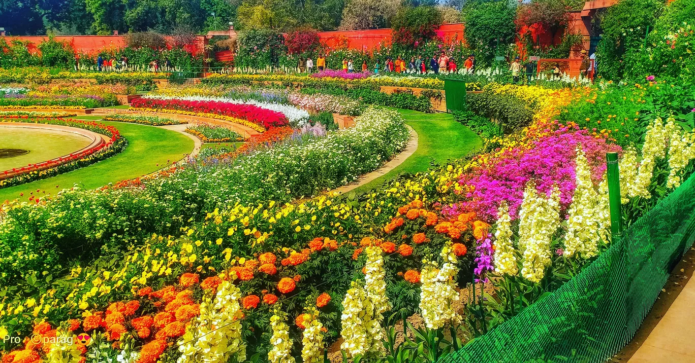 Photo of Mughal Gardens By Parag Agrawal