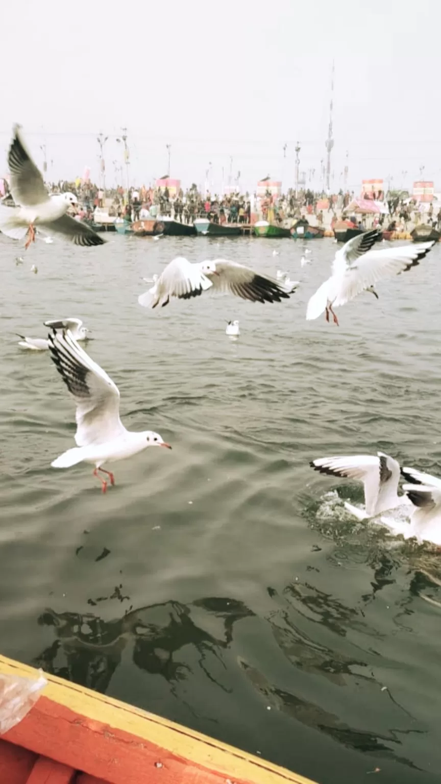 Photo of Allahabad By Sarita Singh
