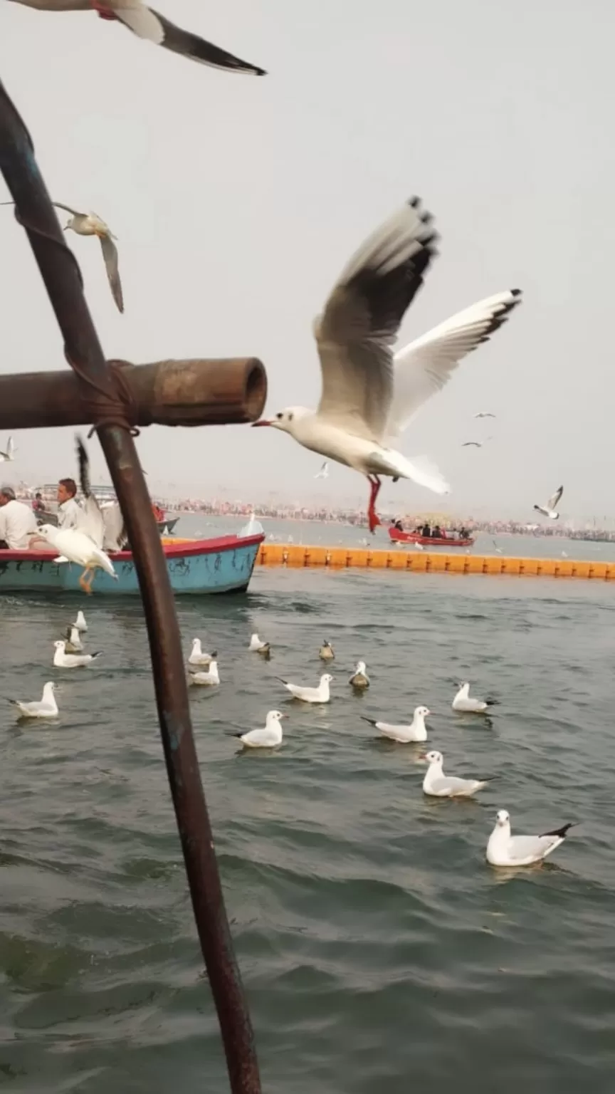 Photo of Allahabad By Sarita Singh