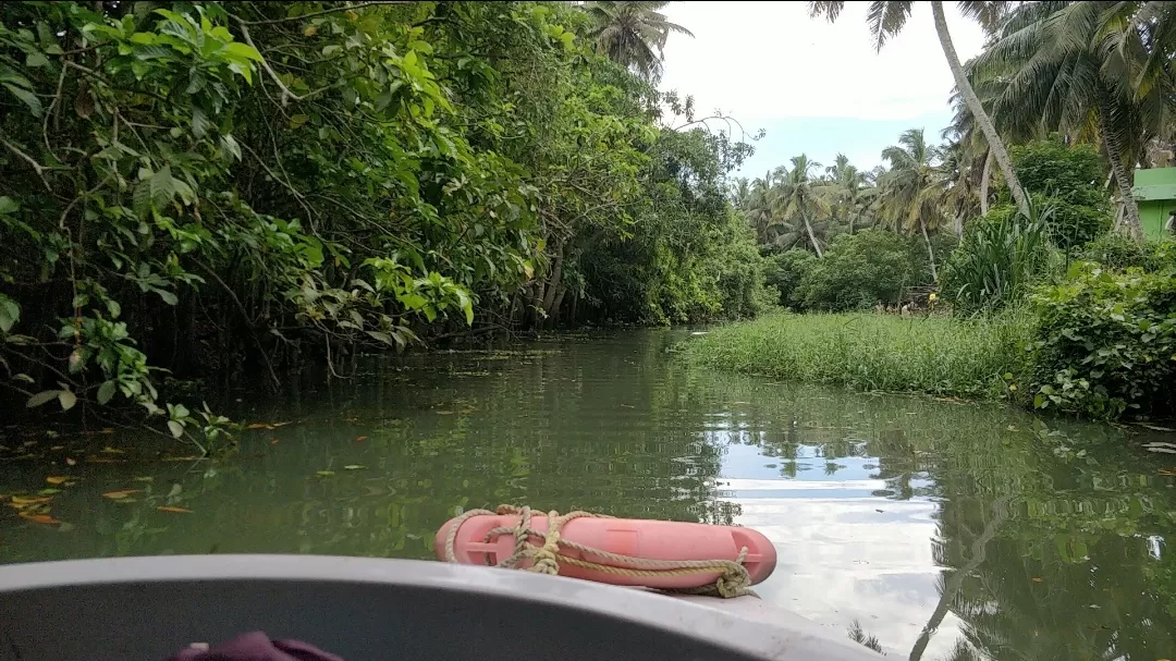 Photo of Poovar By Rahul Date