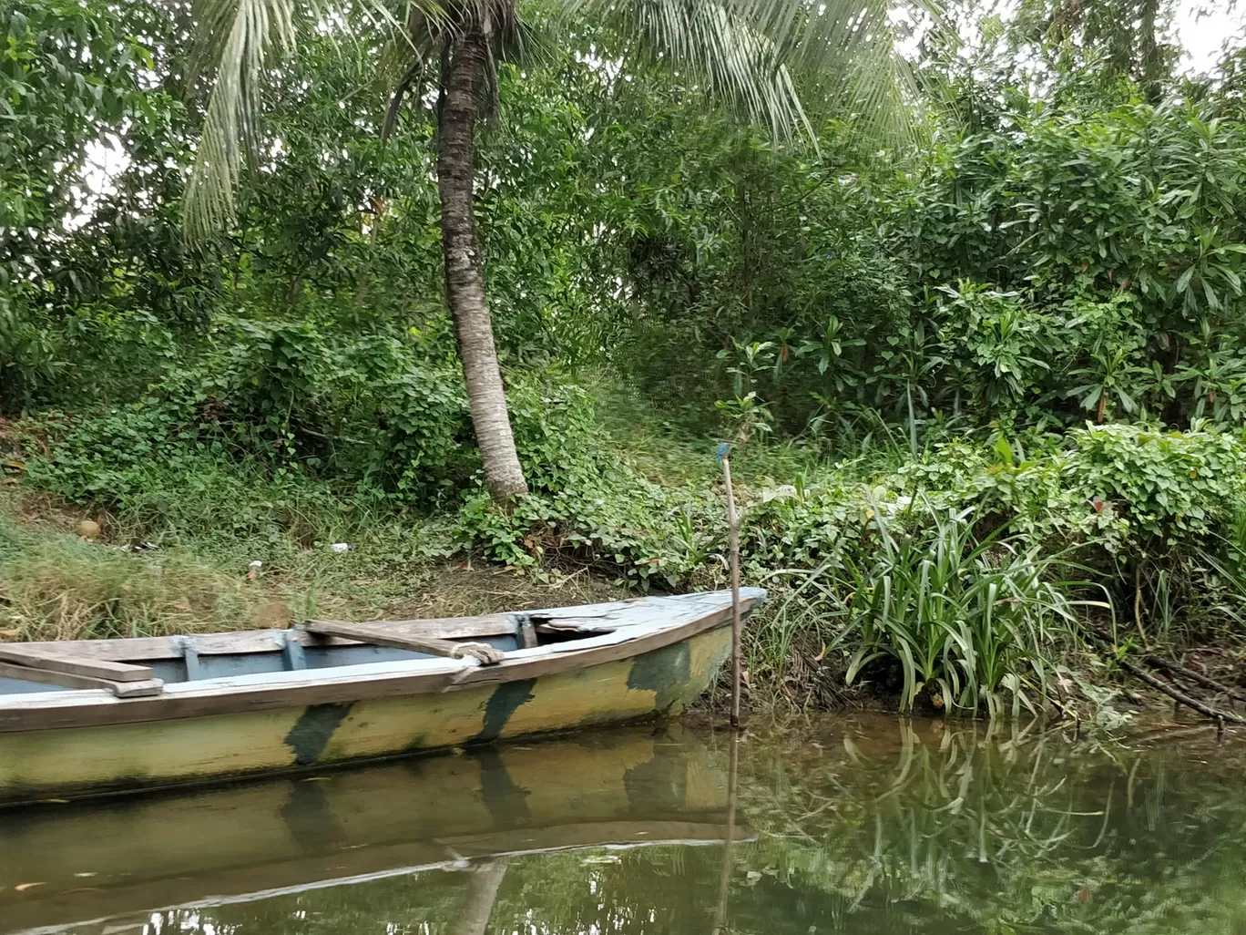 Photo of Poovar By Rahul Date