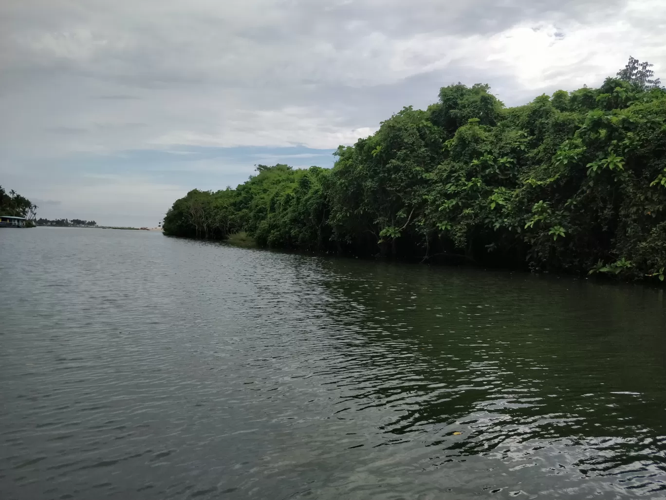 Photo of Poovar By Rahul Date