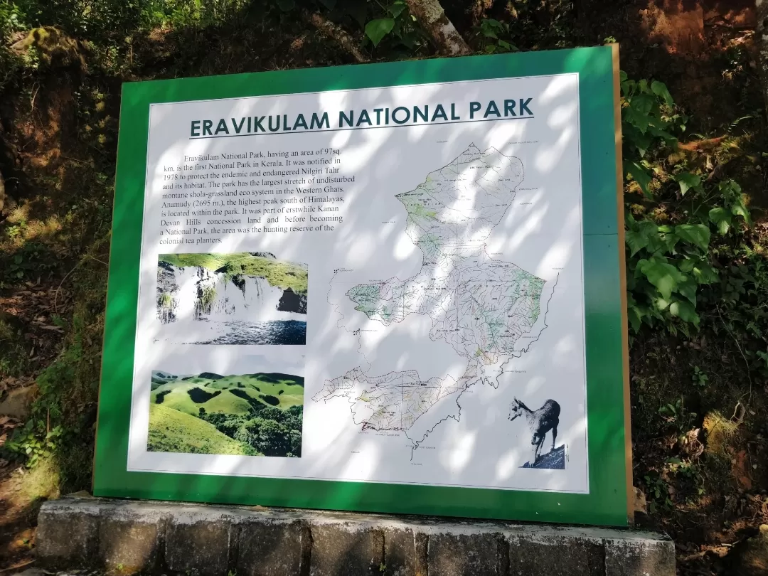 Photo of Eravikulam National Park By Rahul Date