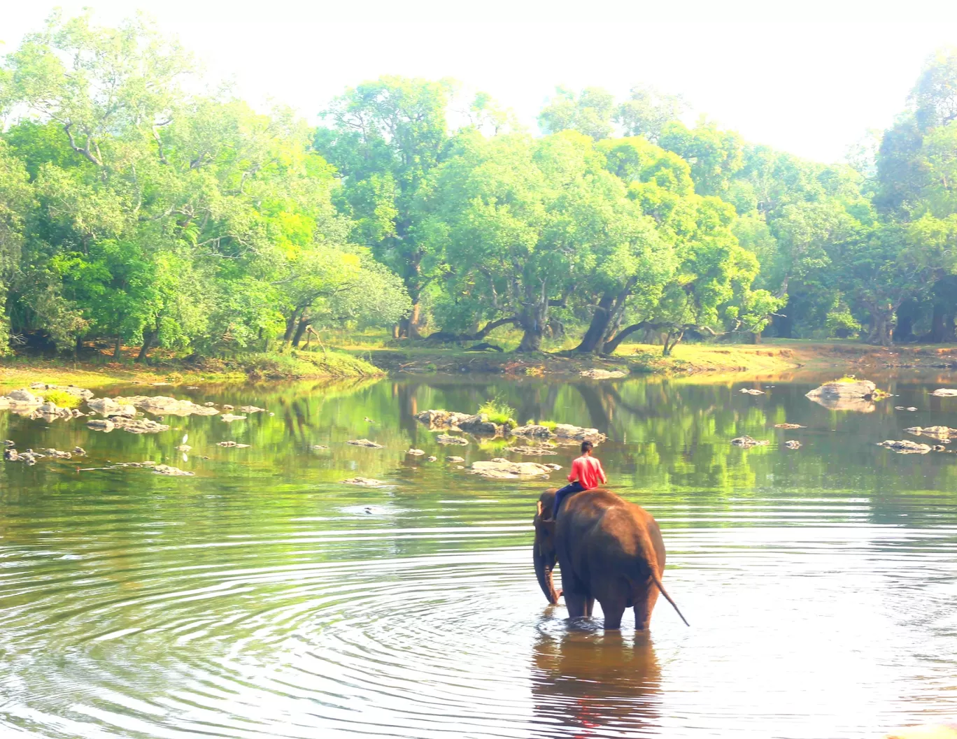 Photo of Dubare Adventure Camp-Coorg Waves By The Wandering Duskies