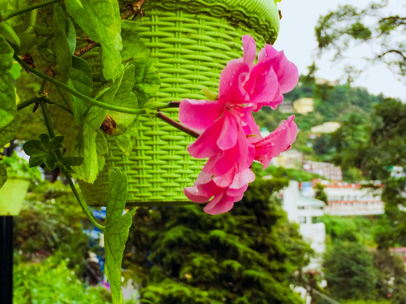 Photo of Mall Road Mussoorie By Lucky Singh_बाग़ी उड़ान