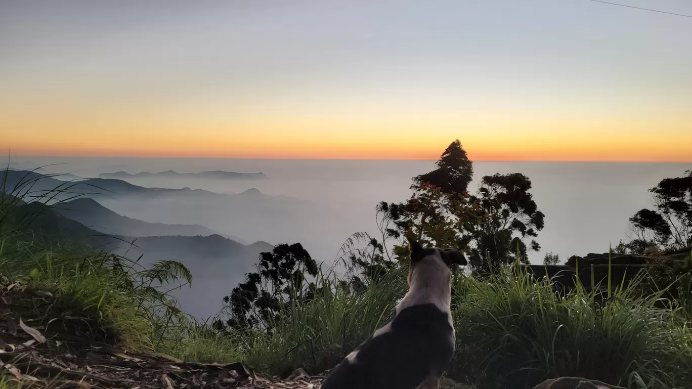 Photo of Kodaikanal By Eshwar Boini