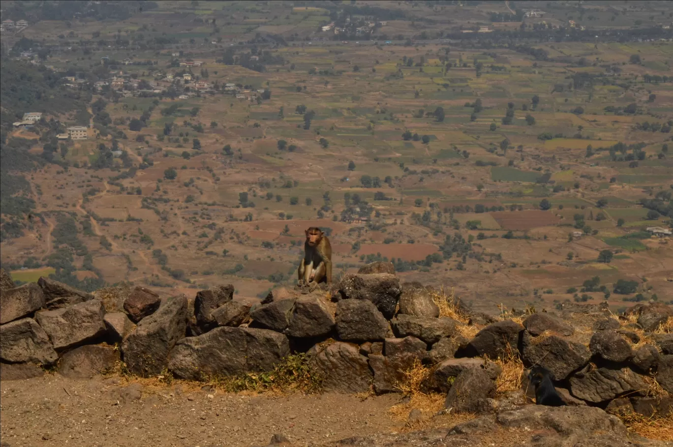 Photo of Lohagad Fort By The Lazy Wanderer