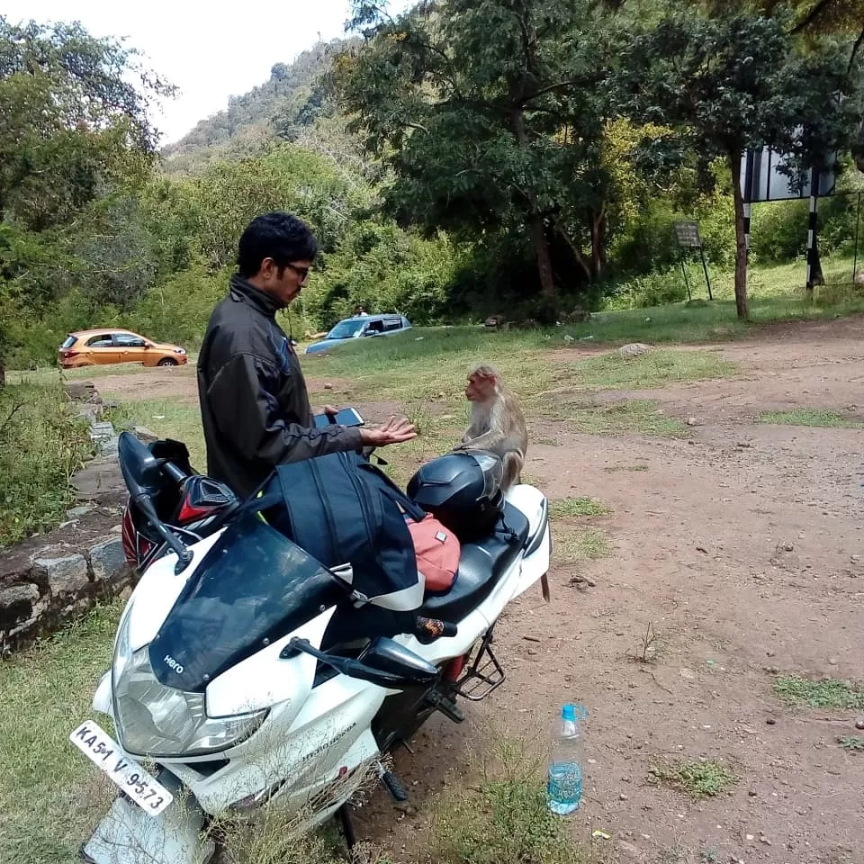 Photo of Mandalpatti Peak By avirineni kishore