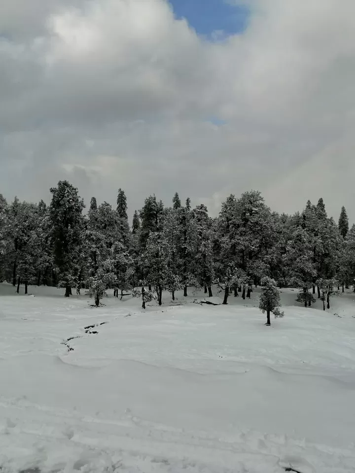 Photo of Chopta By Saurav Rawat