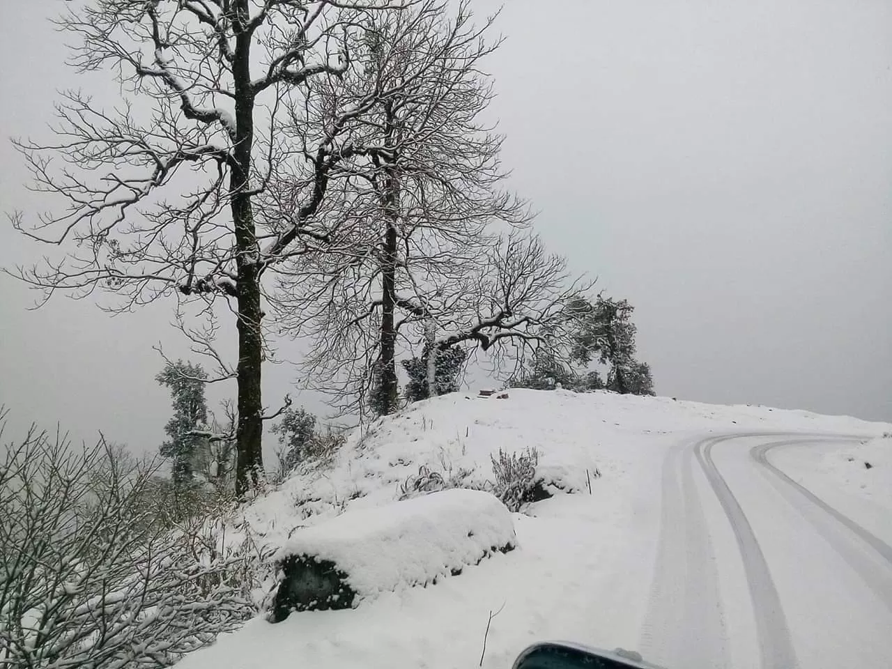 Photo of Chopta By Saurav Rawat