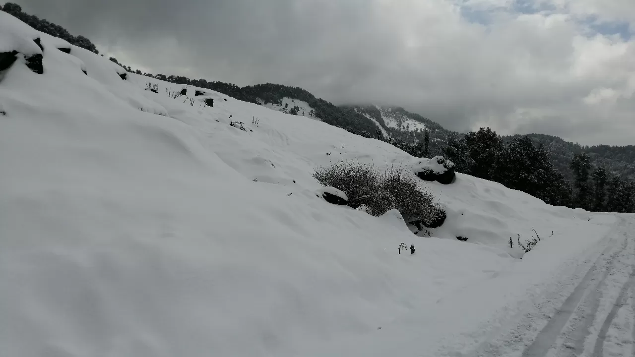 Photo of Chopta By Saurav Rawat