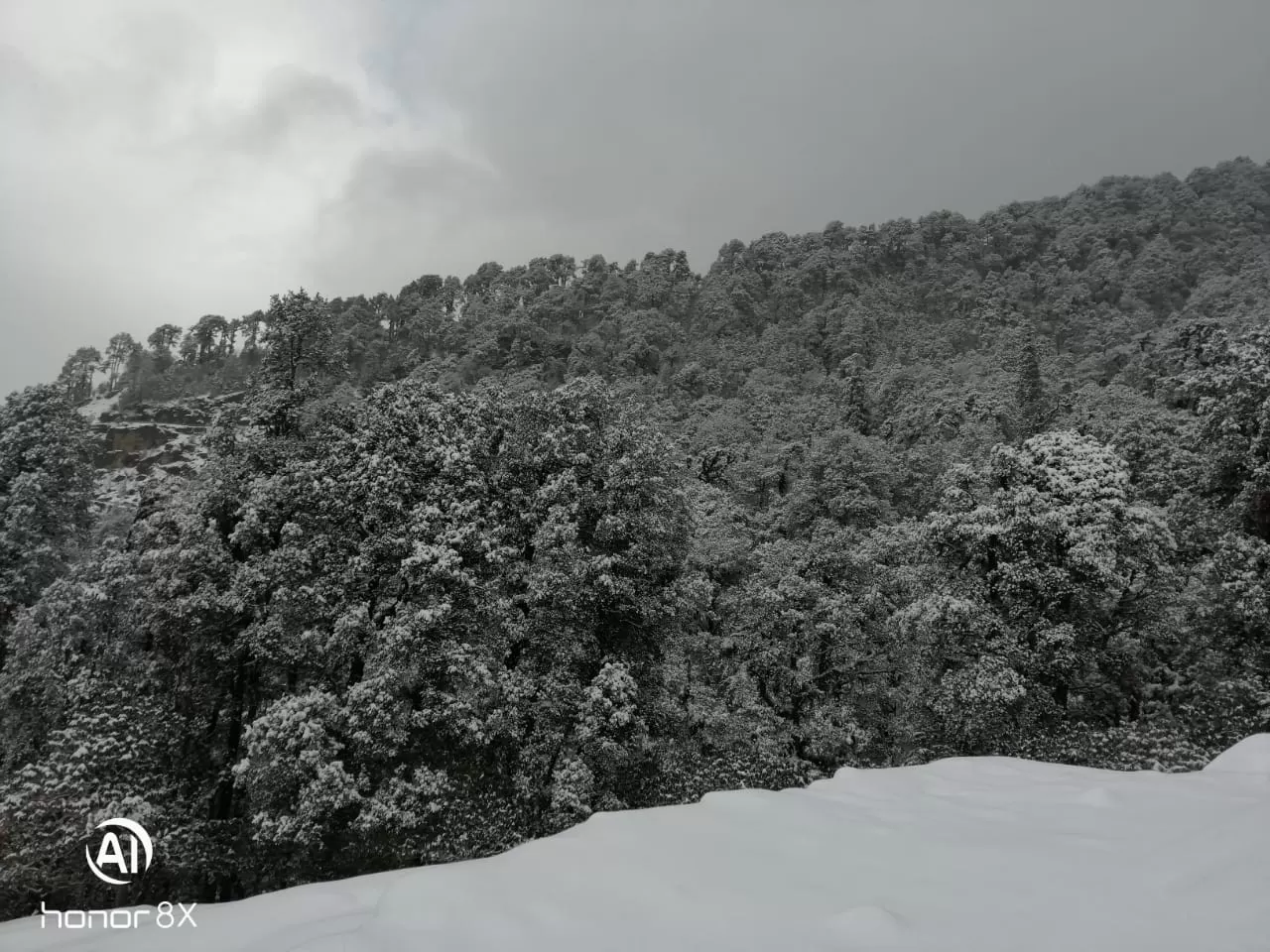 Photo of Chopta By Saurav Rawat