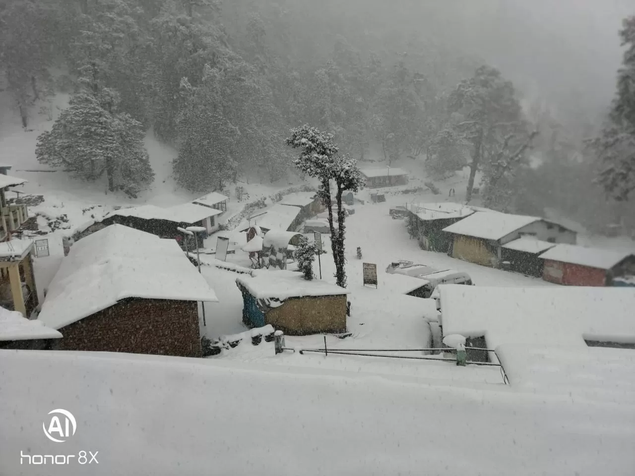 Photo of Chopta By Saurav Rawat