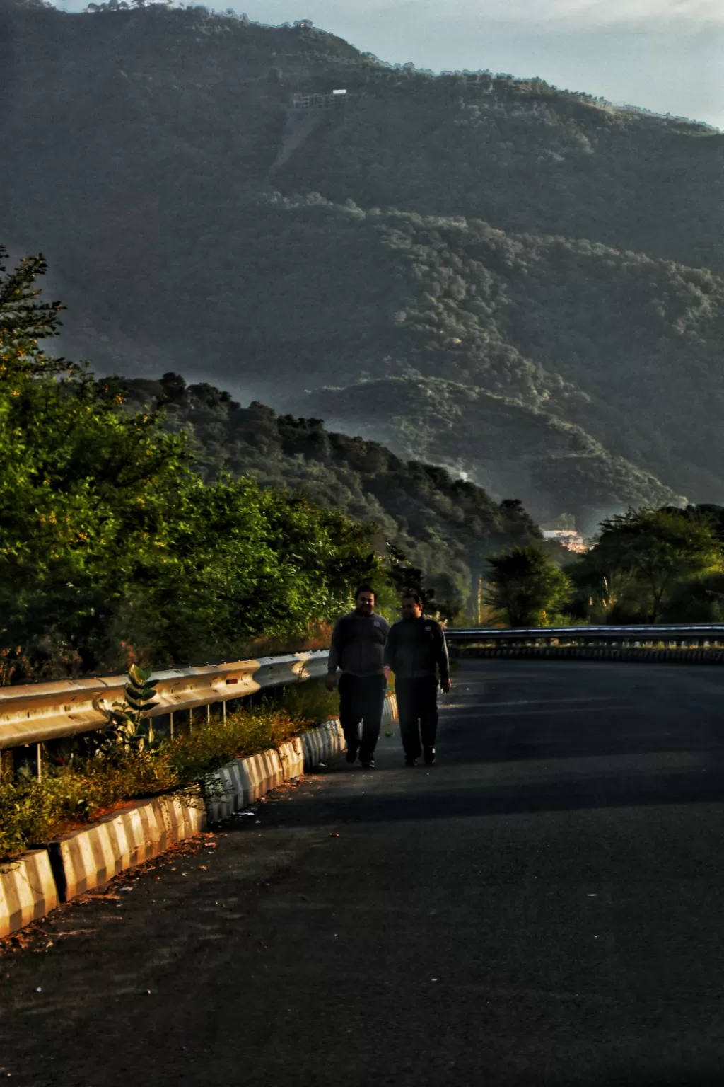 Photo of Simla By mountain nature lost