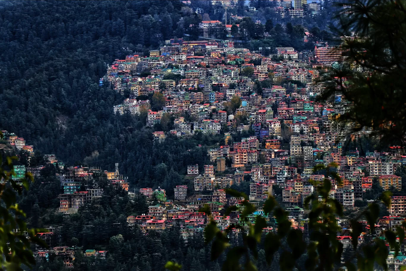Photo of Simla By mountain nature lost
