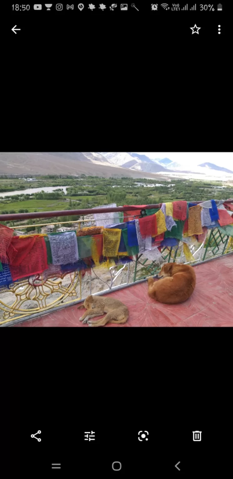 Photo of Leh By DEVINA DESAI